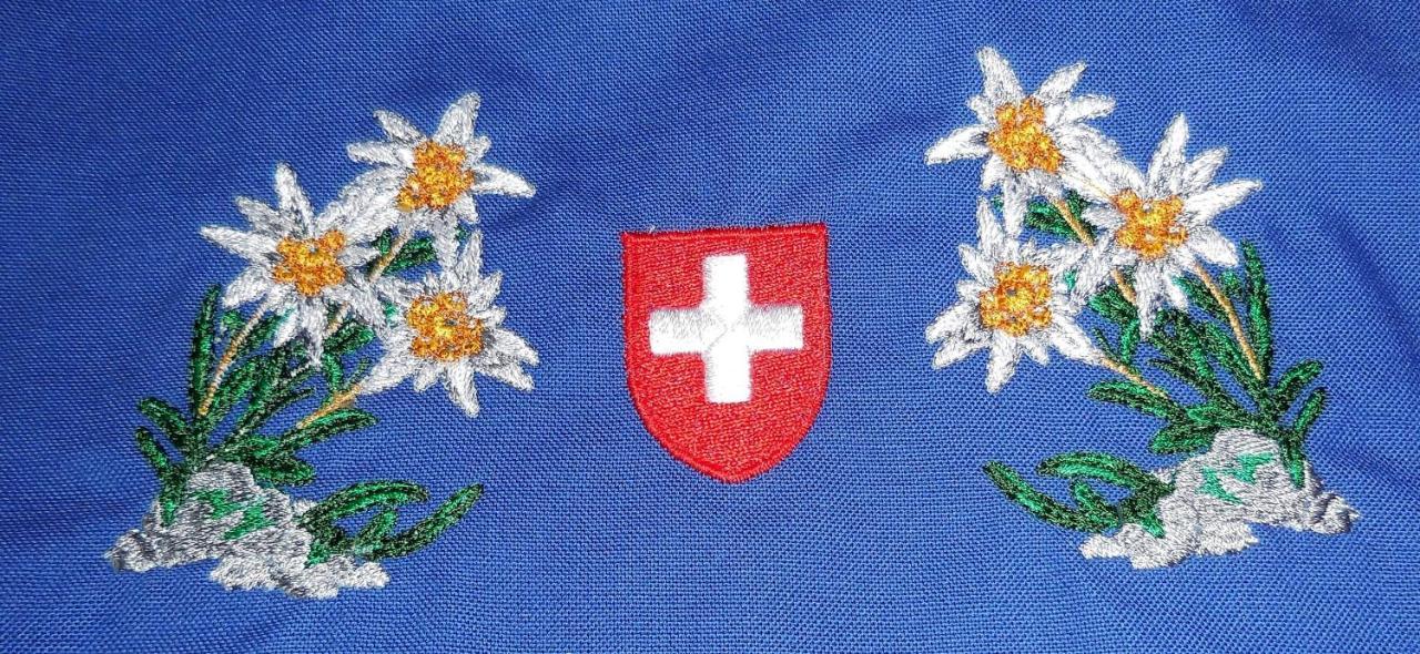 Swiss Chalet Style Цюрих Экстерьер фото